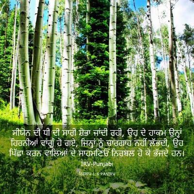 Picture 03 - ਵਿਰਲਾਪ 1:6 PANIRV - ਸੀਯੋਨ ਦੀ ਧੀ ਦੀ ਸਾਰੀ - Bible Verse Picture