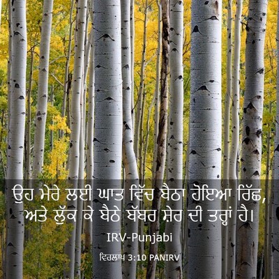 Picture 03 - ਵਿਰਲਾਪ 3:10 PANIRV - ਉਹ ਮੇਰੇ ਲਈ ਘਾਤ ਵਿੱਚ - Bible Verse Picture