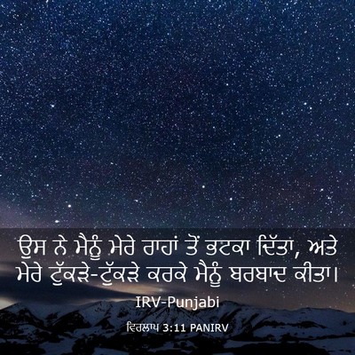 Picture 03 - ਵਿਰਲਾਪ 3:11 PANIRV - ਉਸ ਨੇ ਮੈਨੂੰ ਮੇਰੇ - Bible Verse Picture