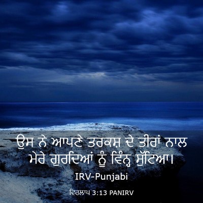 Picture 03 - ਵਿਰਲਾਪ 3:13 PANIRV - ਉਸ ਨੇ ਆਪਣੇ ਤਰਕਸ਼ ਦੇ - Bible Verse Picture