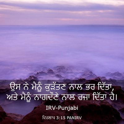Picture 03 - ਵਿਰਲਾਪ 3:15 PANIRV - ਉਸ ਨੇ ਮੈਨੂੰ ਕੁੜੱਤਣ - Bible Verse Picture