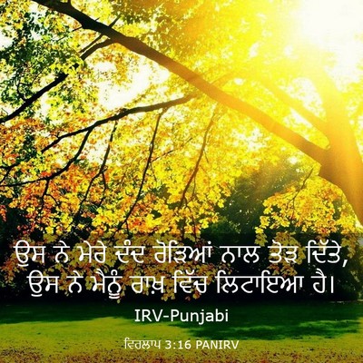 Picture 03 - ਵਿਰਲਾਪ 3:16 PANIRV - ਉਸ ਨੇ ਮੇਰੇ ਦੰਦ - Bible Verse Picture