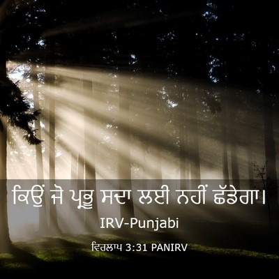 Picture 03 - ਵਿਰਲਾਪ 3:31 PANIRV - ਕਿਉਂ ਜੋ ਪ੍ਰਭੂ ਸਦਾ - Bible Verse Picture