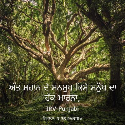 Picture 03 - ਵਿਰਲਾਪ 3:35 PANIRV - ਅੱਤ ਮਹਾਨ ਦੇ ਸਨਮੁਖ - Bible Verse Picture