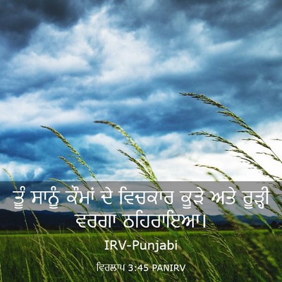 Picture 03 - ਵਿਰਲਾਪ 3:45 PANIRV - ਤੂੰ ਸਾਨੂੰ ਕੌਮਾਂ ਦੇ - Bible Verse Picture