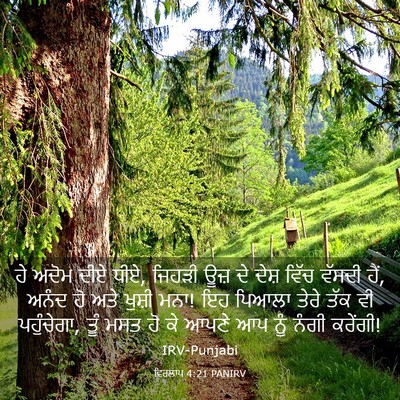 Picture 03 - ਵਿਰਲਾਪ 4:21 PANIRV - ਹੇ ਅਦੋਮ ਦੀਏ ਧੀਏ, - Bible Verse Picture