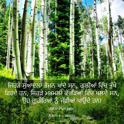 Picture 03 - ਵਿਰਲਾਪ 4:5 PANIRV - ਜਿਹੜੇ ਸੁਆਦਲਾ ਭੋਜਨ - Bible Verse Picture