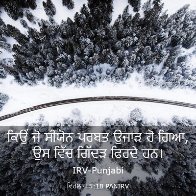 Picture 03 - ਵਿਰਲਾਪ 5:18 PANIRV - ਕਿਉਂ ਜੋ ਸੀਯੋਨ ਪਰਬਤ - Bible Verse Picture