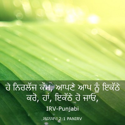 Picture 03 - ਸਫ਼ਨਯਾਹ 2:1 PANIRV - ਹੇ ਨਿਰਲੱਜ ਕੌਮ, ਆਪਣੇ - Bible Verse Picture