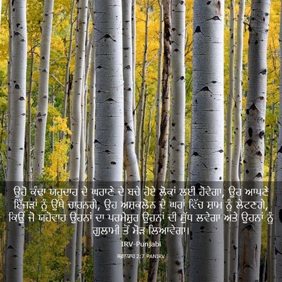 Picture 03 - ਸਫ਼ਨਯਾਹ 2:7 PANIRV - ਉਹੋ ਕੰਢਾ ਯਹੂਦਾਹ ਦੇ - Bible Verse Picture
