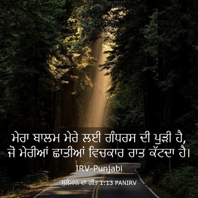 Picture 03 - ਸੁਲੇਮਾਨ ਦਾ ਗੀਤ 1:13 PANIRV - ਮੇਰਾ ਬਾਲਮ ਮੇਰੇ ਲਈ - Bible Verse Picture