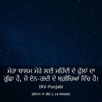 Picture 03 - ਸੁਲੇਮਾਨ ਦਾ ਗੀਤ 1:14 PANIRV - ਮੇਰਾ ਬਾਲਮ ਮੇਰੇ ਲਈ - Bible Verse Picture