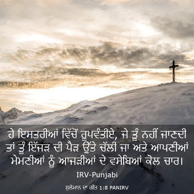 Picture 03 - ਸੁਲੇਮਾਨ ਦਾ ਗੀਤ 1:8 PANIRV - ਹੇ ਇਸਤਰੀਆਂ ਵਿੱਚੋਂ - Bible Verse Picture