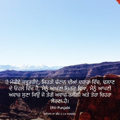 Picture 03 - ਸੁਲੇਮਾਨ ਦਾ ਗੀਤ 2:14 PANIRV - ਹੇ ਮੇਰੀਏ ਕਬੂਤਰੀਏ, - Bible Verse Picture