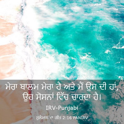 Picture 03 - ਸੁਲੇਮਾਨ ਦਾ ਗੀਤ 2:16 PANIRV - ਮੇਰਾ ਬਾਲਮ ਮੇਰਾ ਹੈ - Bible Verse Picture