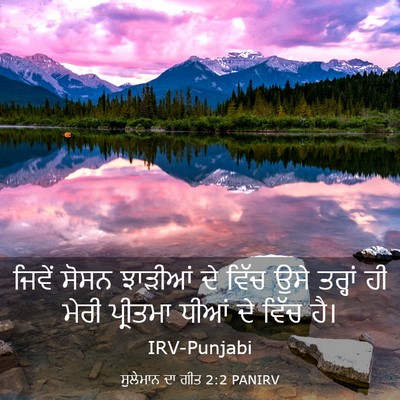 Picture 03 - ਸੁਲੇਮਾਨ ਦਾ ਗੀਤ 2:2 PANIRV - ਜਿਵੇਂ ਸੋਸਨ ਝਾੜੀਆਂ - Bible Verse Picture
