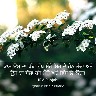 Picture 03 - ਸੁਲੇਮਾਨ ਦਾ ਗੀਤ 2:6 PANIRV - ਕਾਸ਼ ਉਸ ਦਾ ਖੱਬਾ ਹੱਥ - Bible Verse Picture