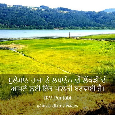Picture 03 - ਸੁਲੇਮਾਨ ਦਾ ਗੀਤ 3:9 PANIRV - ਸੁਲੇਮਾਨ ਰਾਜਾ ਨੇ - Bible Verse Picture