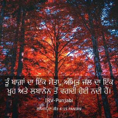 Picture 03 - ਸੁਲੇਮਾਨ ਦਾ ਗੀਤ 4:15 PANIRV - ਤੂੰ ਬਾਗ਼ਾਂ ਦਾ ਇੱਕ - Bible Verse Picture