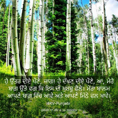Picture 03 - ਸੁਲੇਮਾਨ ਦਾ ਗੀਤ 4:16 PANIRV - ਹੇ ਉੱਤਰ ਦੀਏ ਪੌਣੇ, - Bible Verse Picture