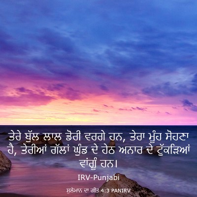 Picture 03 - ਸੁਲੇਮਾਨ ਦਾ ਗੀਤ 4:3 PANIRV - ਤੇਰੇ ਬੁੱਲ ਲਾਲ ਡੋਰੀ - Bible Verse Picture