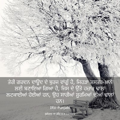 Picture 03 - ਸੁਲੇਮਾਨ ਦਾ ਗੀਤ 4:4 PANIRV - ਤੇਰੀ ਗਰਦਨ ਦਾਊਦ ਦੇ - Bible Verse Picture