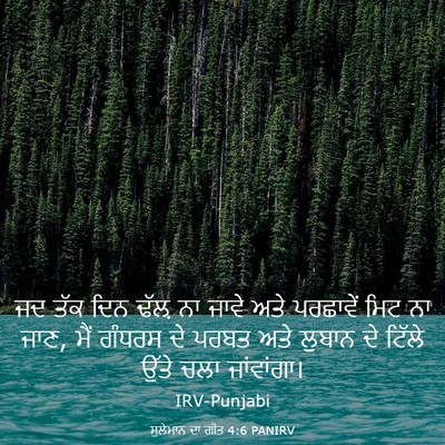 Picture 03 - ਸੁਲੇਮਾਨ ਦਾ ਗੀਤ 4:6 PANIRV - ਜਦ ਤੱਕ ਦਿਨ ਢੱਲ਼ ਨਾ - Bible Verse Picture