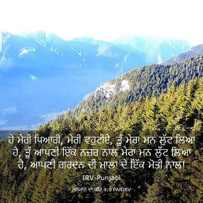 Picture 03 - ਸੁਲੇਮਾਨ ਦਾ ਗੀਤ 4:9 PANIRV - ਹੇ ਮੇਰੀ ਪਿਆਰੀ, ਮੇਰੀ - Bible Verse Picture