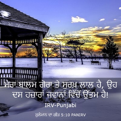 Picture 03 - ਸੁਲੇਮਾਨ ਦਾ ਗੀਤ 5:10 PANIRV - ਮੇਰਾ ਬਾਲਮ ਗੋਰਾ ਤੇ - Bible Verse Picture