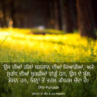 Picture 03 - ਸੁਲੇਮਾਨ ਦਾ ਗੀਤ 5:13 PANIRV - ਉਸ ਦੀਆਂ ਗੱਲਾਂ - Bible Verse Picture
