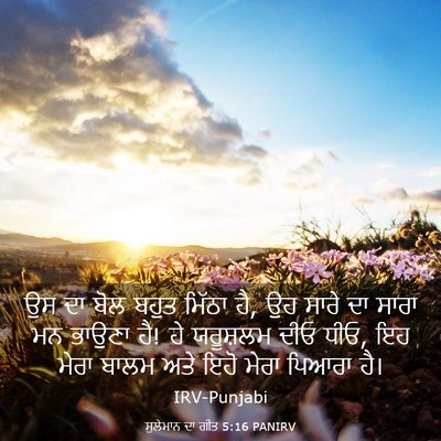 Picture 03 - ਸੁਲੇਮਾਨ ਦਾ ਗੀਤ 5:16 PANIRV - ਉਸ ਦਾ ਬੋਲ ਬਹੁਤ - Bible Verse Picture