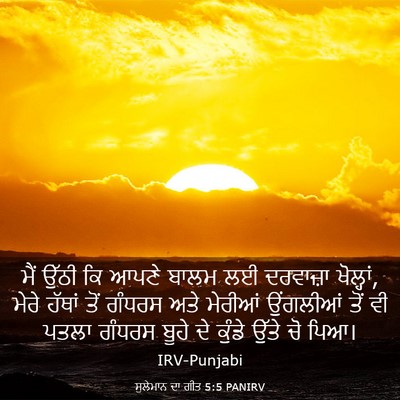 Picture 03 - ਸੁਲੇਮਾਨ ਦਾ ਗੀਤ 5:5 PANIRV - ਮੈਂ ਉੱਠੀ ਕਿ ਆਪਣੇ - Bible Verse Picture