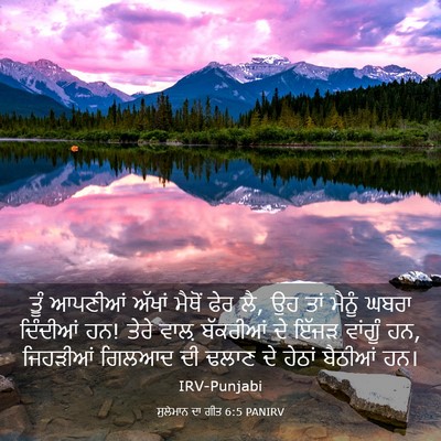 Picture 03 - ਸੁਲੇਮਾਨ ਦਾ ਗੀਤ 6:5 PANIRV - ਤੂੰ ਆਪਣੀਆਂ ਅੱਖਾਂ - Bible Verse Picture