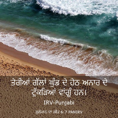Picture 03 - ਸੁਲੇਮਾਨ ਦਾ ਗੀਤ 6:7 PANIRV - ਤੇਰੀਆਂ ਗੱਲਾਂ ਘੁੰਡ - Bible Verse Picture