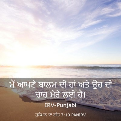 Picture 03 - ਸੁਲੇਮਾਨ ਦਾ ਗੀਤ 7:10 PANIRV - ਮੈਂ ਆਪਣੇ ਬਾਲਮ ਦੀ - Bible Verse Picture