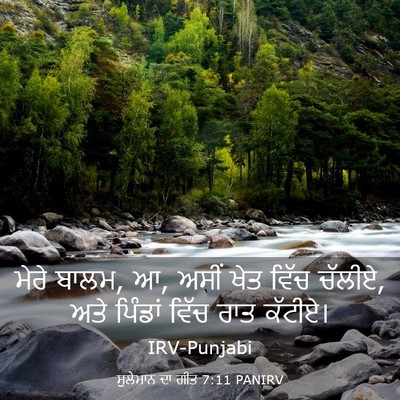 Picture 03 - ਸੁਲੇਮਾਨ ਦਾ ਗੀਤ 7:11 PANIRV - ਮੇਰੇ ਬਾਲਮ, ਆ, ਅਸੀਂ - Bible Verse Picture