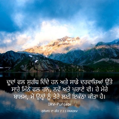 Picture 03 - ਸੁਲੇਮਾਨ ਦਾ ਗੀਤ 7:13 PANIRV - ਦੂਦਾਂ ਫਲ ਸੁਗੰਧ - Bible Verse Picture
