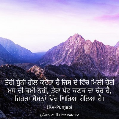 Picture 03 - ਸੁਲੇਮਾਨ ਦਾ ਗੀਤ 7:2 PANIRV - ਤੇਰੀ ਧੁੰਨੀ ਗੋਲ - Bible Verse Picture