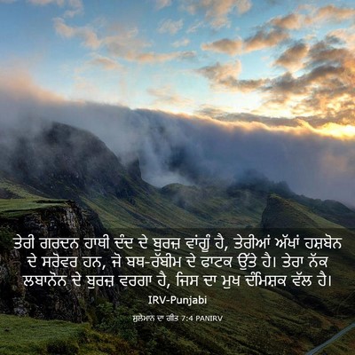 Picture 03 - ਸੁਲੇਮਾਨ ਦਾ ਗੀਤ 7:4 PANIRV - ਤੇਰੀ ਗਰਦਨ ਹਾਥੀ ਦੰਦ - Bible Verse Picture