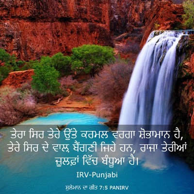 Picture 03 - ਸੁਲੇਮਾਨ ਦਾ ਗੀਤ 7:5 PANIRV - ਤੇਰਾ ਸਿਰ ਤੇਰੇ ਉੱਤੇ - Bible Verse Picture
