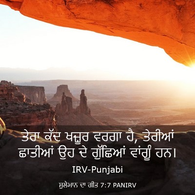 Picture 03 - ਸੁਲੇਮਾਨ ਦਾ ਗੀਤ 7:7 PANIRV - ਤੇਰਾ ਕੱਦ ਖਜ਼ੂਰ - Bible Verse Picture