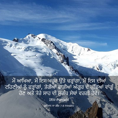 Picture 03 - ਸੁਲੇਮਾਨ ਦਾ ਗੀਤ 7:8 PANIRV - ਮੈਂ ਆਖਿਆ, ਮੈਂ ਇਸ - Bible Verse Picture