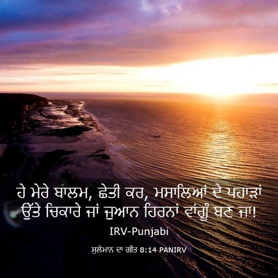 Picture 03 - ਸੁਲੇਮਾਨ ਦਾ ਗੀਤ 8:14 PANIRV - ਹੇ ਮੇਰੇ ਬਾਲਮ, ਛੇਤੀ - Bible Verse Picture