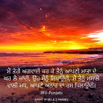 Picture 03 - ਸੁਲੇਮਾਨ ਦਾ ਗੀਤ 8:2 PANIRV - ਮੈਂ ਤੇਰੀ ਅਗਵਾਈ ਕਰ - Bible Verse Picture