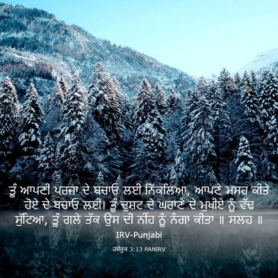 Picture 03 - ਹਬੱਕੂਕ 3:13 PANIRV - ਤੂੰ ਆਪਣੀ ਪਰਜਾ ਦੇ - Bible Verse Picture