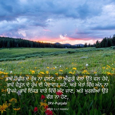 Picture 03 - ਹਬੱਕੂਕ 3:17 PANIRV - ਭਾਵੇਂ ਹੰਜ਼ੀਰ ਦੇ - Bible Verse Picture