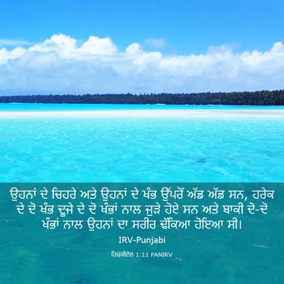 Picture 03 - ਹਿਜ਼ਕੀਏਲ 1:11 PANIRV - ਉਹਨਾਂ ਦੇ ਚਿਹਰੇ ਅਤੇ - Bible Verse Picture