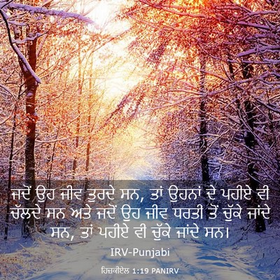 Picture 03 - ਹਿਜ਼ਕੀਏਲ 1:19 PANIRV - ਜਦੋਂ ਉਹ ਜੀਵ ਤੁਰਦੇ - Bible Verse Picture
