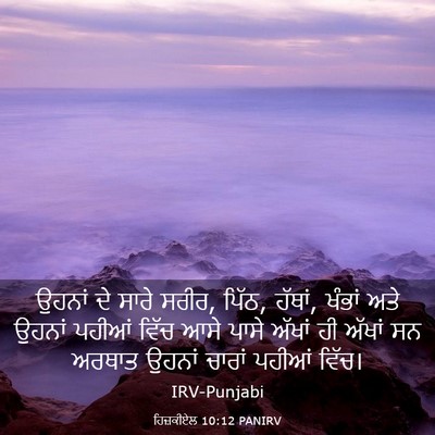 Picture 03 - ਹਿਜ਼ਕੀਏਲ 10:12 PANIRV - ਉਹਨਾਂ ਦੇ ਸਾਰੇ ਸਰੀਰ, - Bible Verse Picture