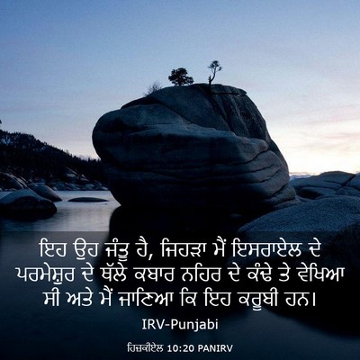 Picture 03 - ਹਿਜ਼ਕੀਏਲ 10:20 PANIRV - ਇਹ ਉਹ ਜੰਤੂ ਹੈ, - Bible Verse Picture